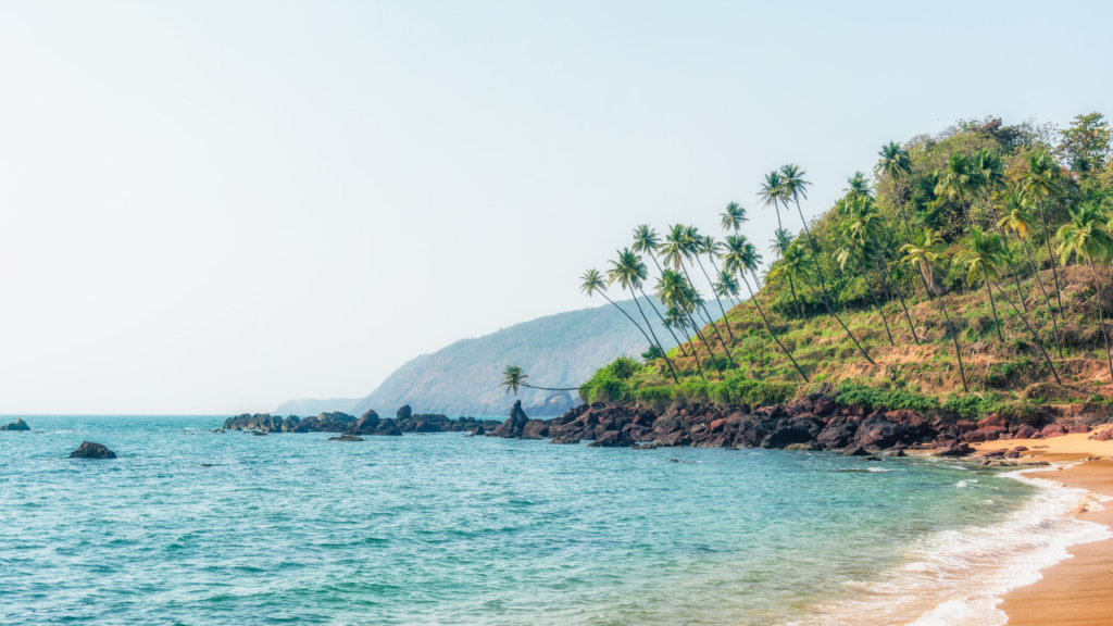 Beautiful Beaches in India to visit