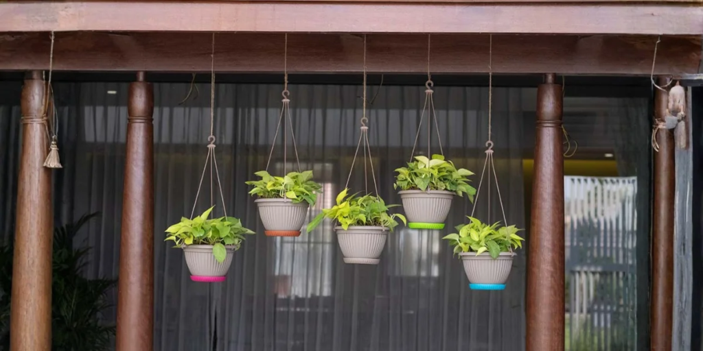 Best terrace gardening ideas for a green and beautiful home