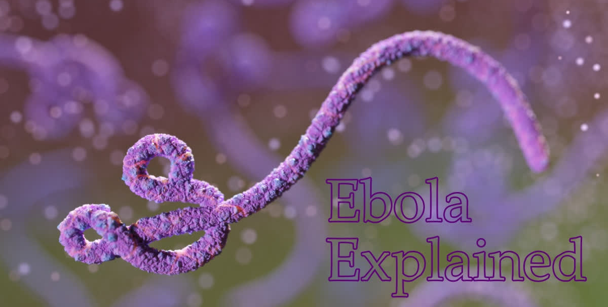 Ebola Outbreak 2026: Everything You Need to Know